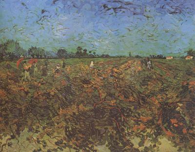 Vincent Van Gogh The Green Vineyard (nn04) oil painting image